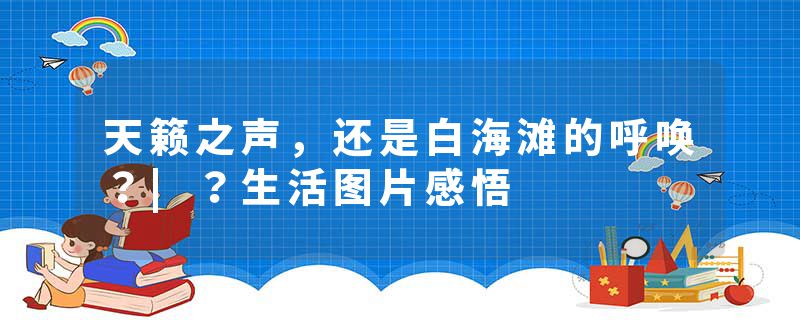 天籁之声，还是白海滩的呼唤？|？生活图片感悟