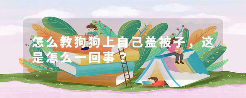 怎么教狗狗上自己盖被子，这是怎么一回事？