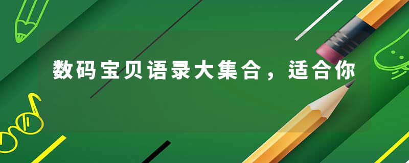 数码宝贝语录大集合，适合你