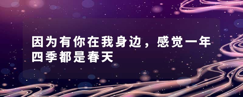 因为有你在我身边,感觉一年四季都是春天