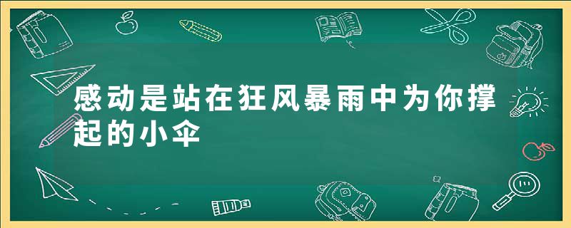 感动是站在狂风暴雨中为你撑起的小伞