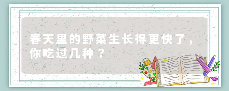 春天里的野菜生长得更快了，你吃过几种？