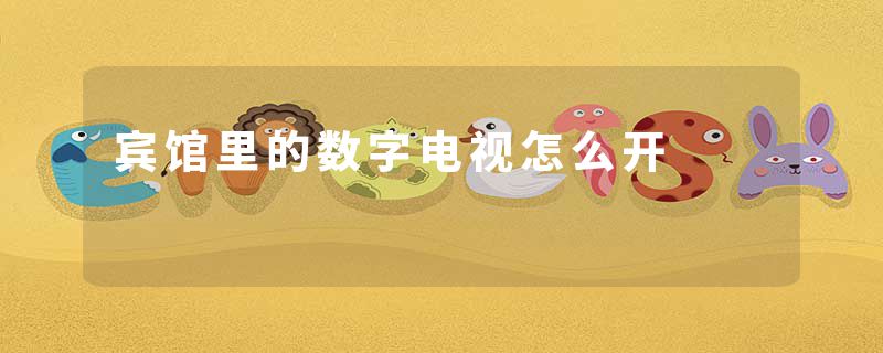 宾馆里的数字电视怎么开