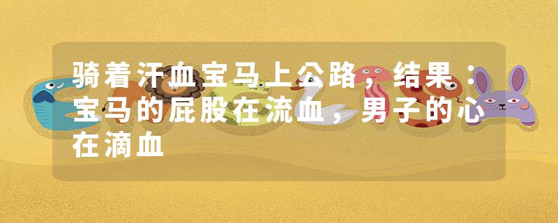 骑着汗血宝马上公路，结果：宝马的屁股在流血，男子的心在滴血