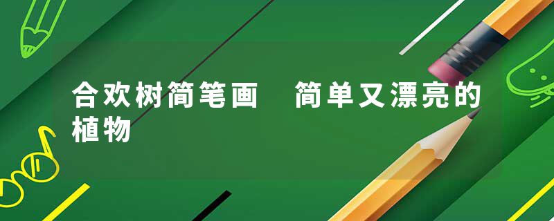 合欢树简笔画 简单又漂亮的植物