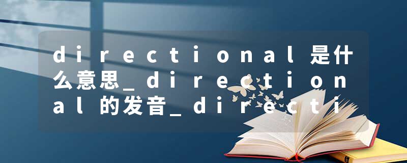 directional是什么意思_directional的发音_directional的用法_directional怎么记_directional翻译