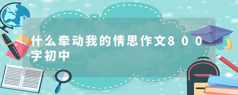 什么牵动我的情思作文800字初中