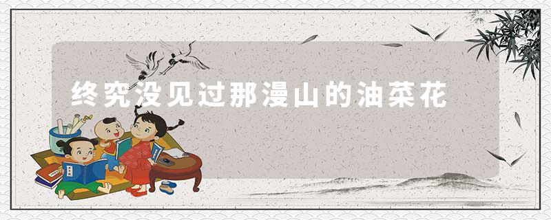 终究没见过那漫山的油菜花