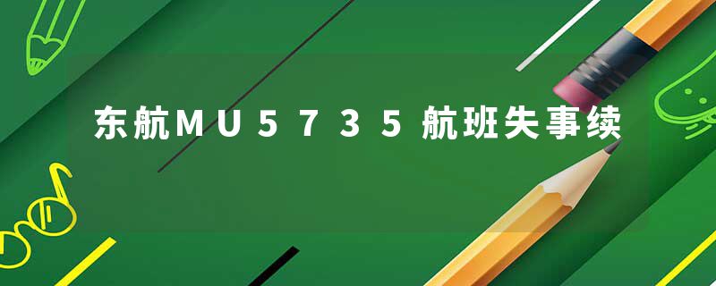 东航MU5735航班失事续