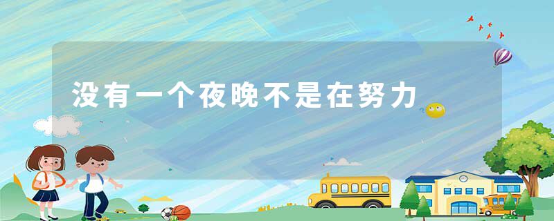 没有一个夜晚不是在努力