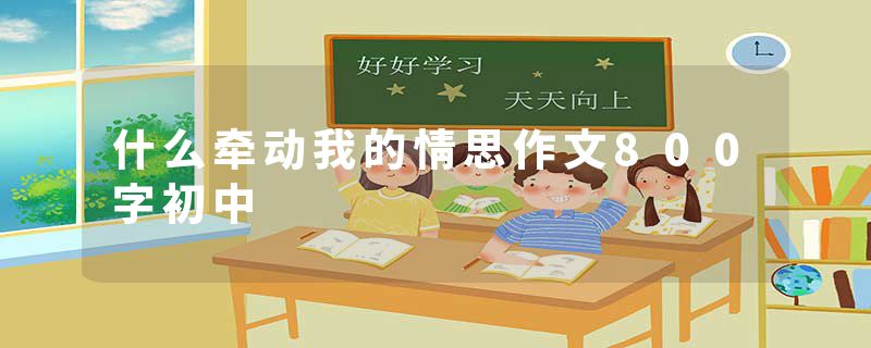 什么牵动我的情思作文800字初中