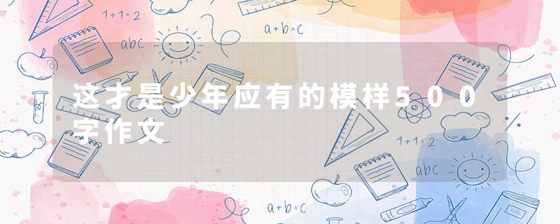 这才是少年应有的模样500字作文