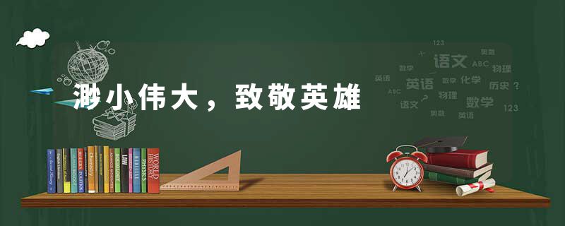 渺小伟大，致敬英雄