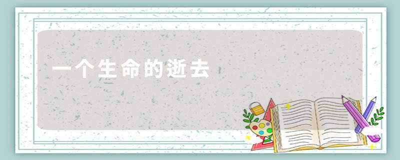 一个生命的逝去