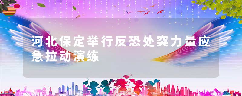 河北保定举行反恐处突力量应急拉动演练
