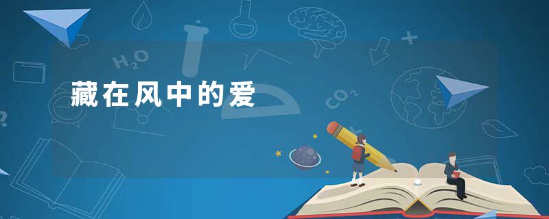 藏在风中的爱