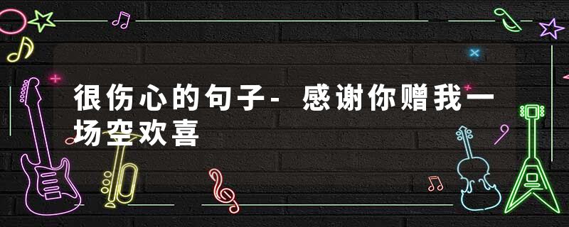 很伤心的句子-感谢你赠我一场空欢喜