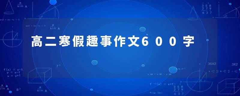 高二寒假趣事作文600字