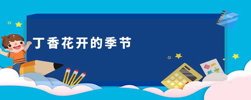 丁香花开的季节