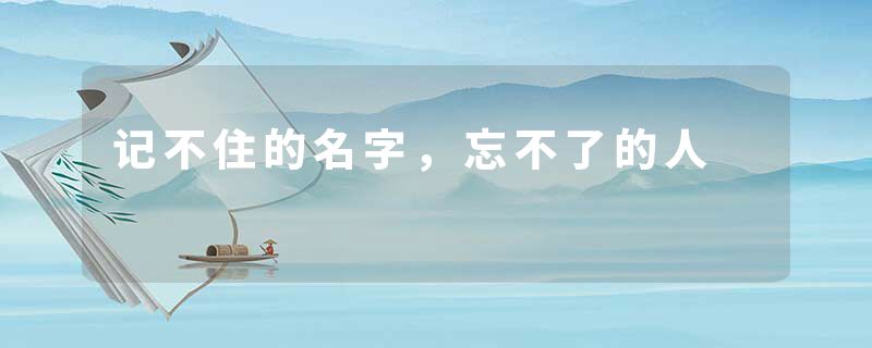 记不住的名字，忘不了的人