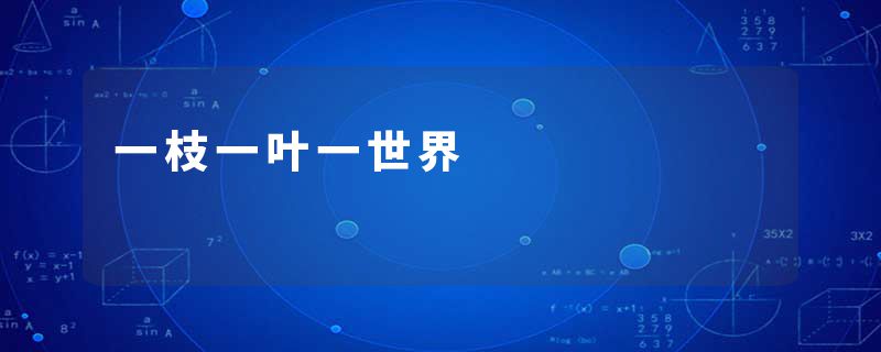 一枝一叶一世界