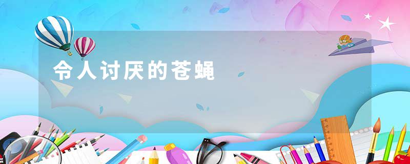 令人讨厌的苍蝇