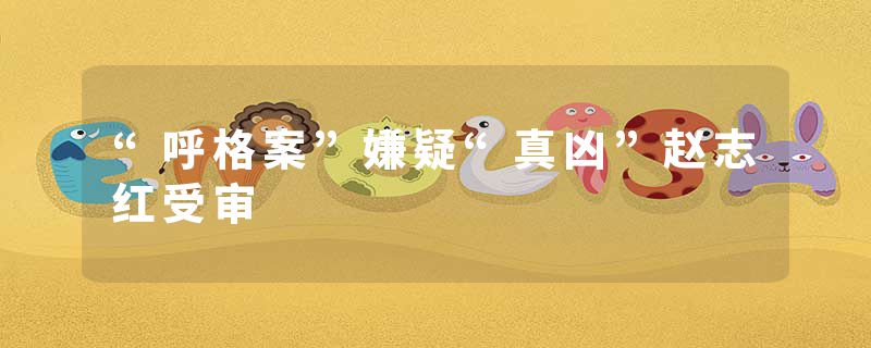 “呼格案”嫌疑“真凶”赵志红受审