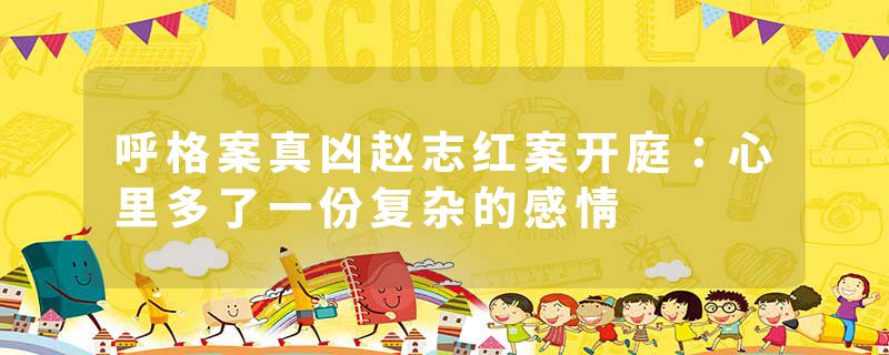 呼格案真凶赵志红案开庭：心里多了一份复杂的感情