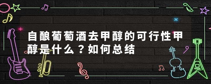 自酿葡萄酒去甲醇的可行性甲醇是什么？如何总结