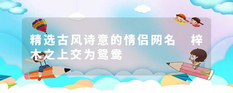 精选古风诗意的情侣网名 梓木之上交为鸳鸯