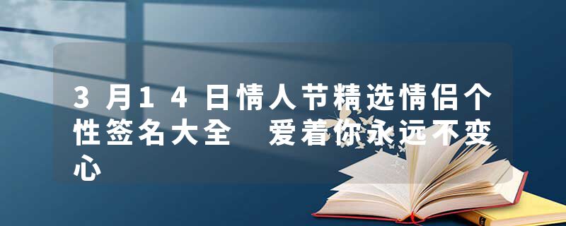 3月14日情人节精选情侣个性签名大全 爱着你永远不变心