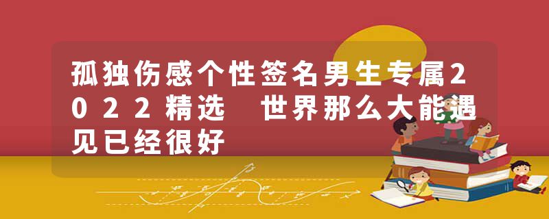 孤独伤感个性签名男生专属2022精选 世界那么大能遇见已经很好