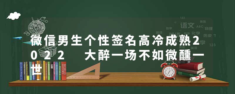 微信男生个性签名高冷成熟2022 大醉一场不如微醺一世