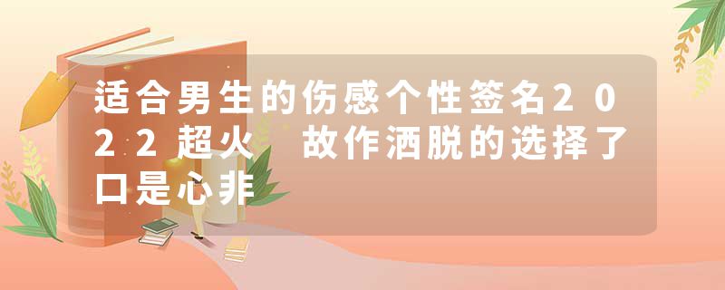 适合男生的伤感个性签名2022超火 故作洒脱的选择了口是心非