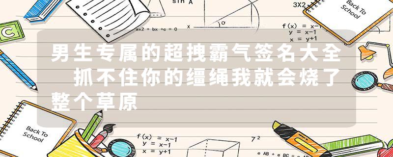 男生专属的超拽霸气签名大全 抓不住你的缰绳我就会烧了整个草原