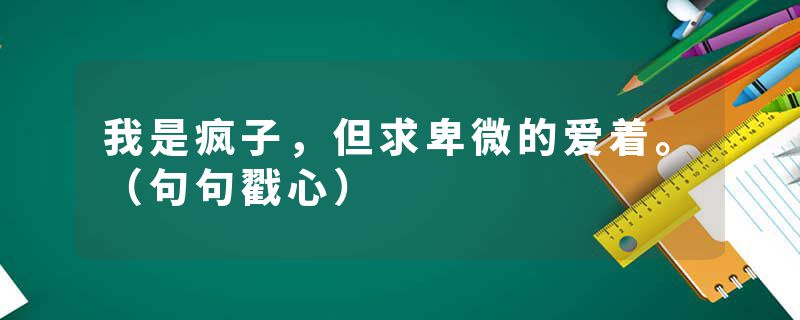 我是疯子，但求卑微的爱着。（句句戳心）