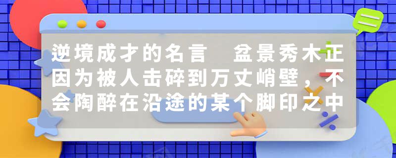 逆境成才的名言 盆景秀木正因为被人击碎到万丈峭壁，不会陶醉在沿途的某个脚印之中