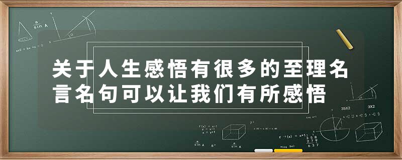 关于人生感悟有很多的至理名言名句可以让我们有所感悟