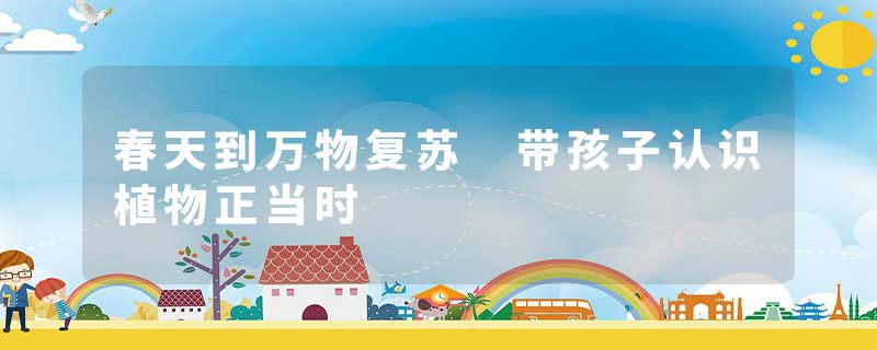 春天到万物复苏 带孩子认识植物正当时