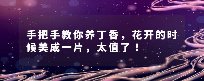 手把手教你养丁香，花开的时候美成一片，太值了！