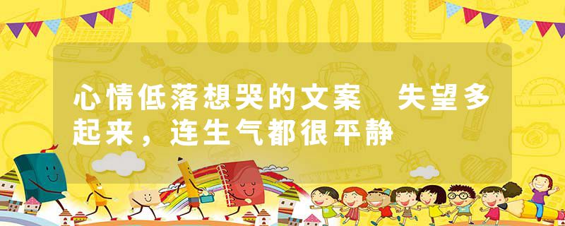心情低落想哭的文案 失望多起来，连生气都很平静