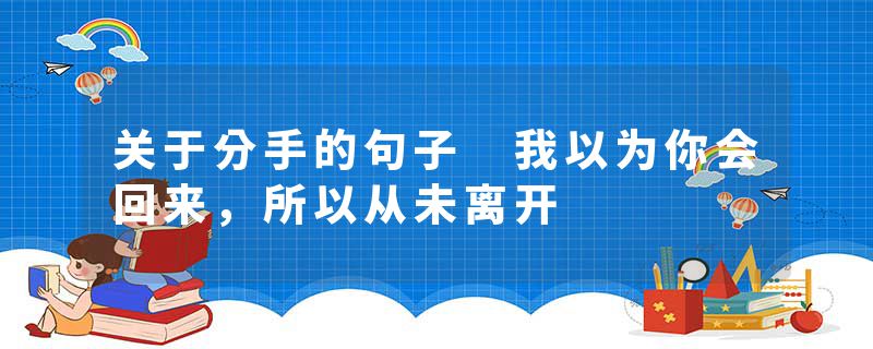 关于分手的句子 我以为你会回来，所以从未离开