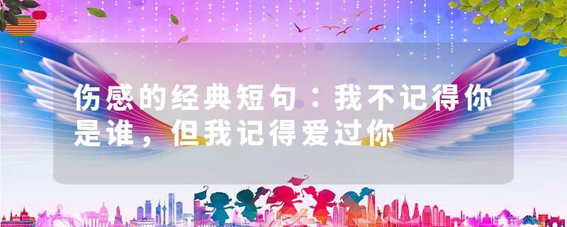 伤感的经典短句:我不记得你是谁,但我记得爱过你