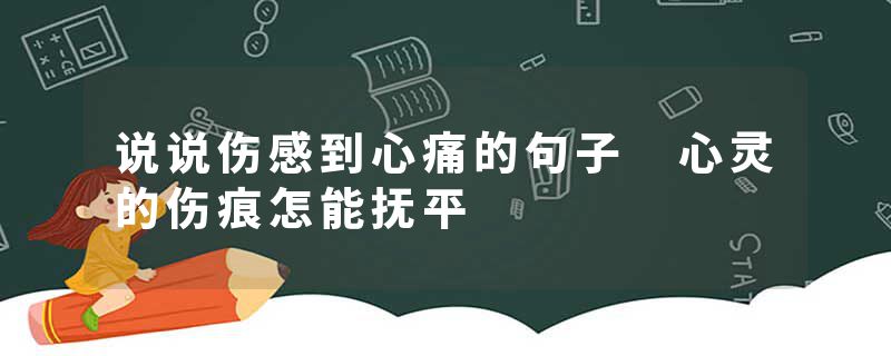 说说伤感到心痛的句子 心灵的伤痕怎能抚平