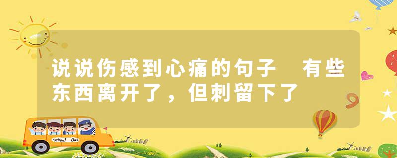 说说伤感到心痛的句子 有些东西离开了,但刺留下了