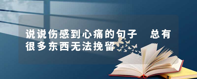 说说伤感到心痛的句子 总有很多东西无法挽留