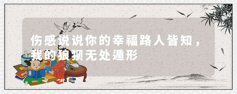 伤感说说你的幸福路人皆知,我的狼狈无处遁形