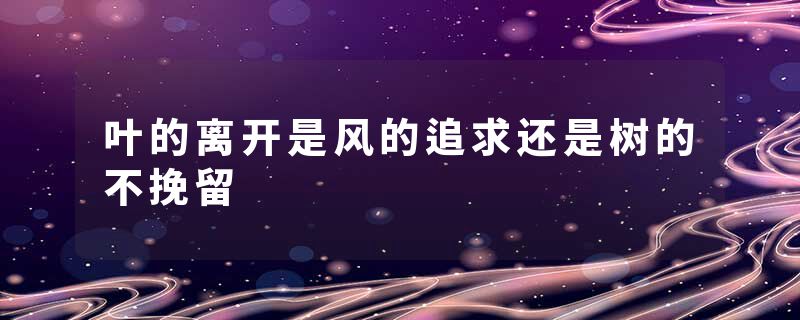 叶的离开是风的追求还是树的不挽留
