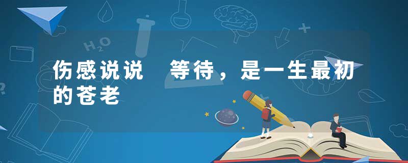 伤感说说 等待,是一生最初的苍老