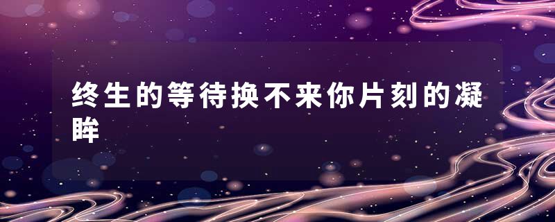 终生的等待换不来你片刻的凝眸